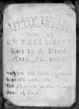 Edward  Schott