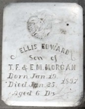 Ellis Edward Morgan