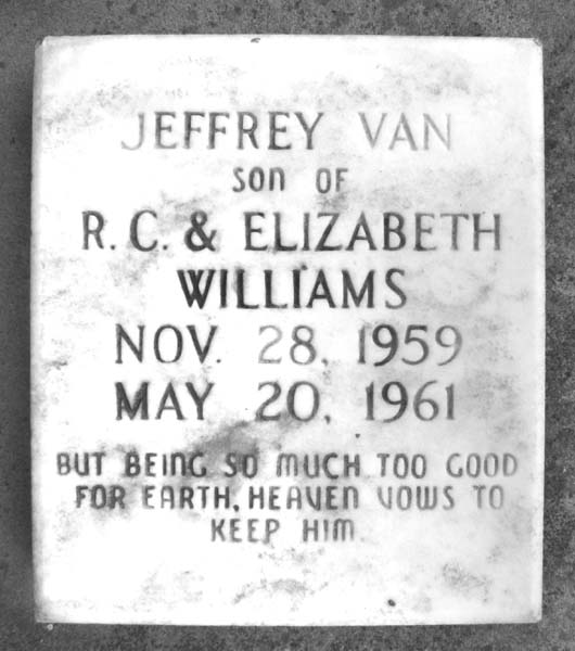 Jeffrey Van Williams