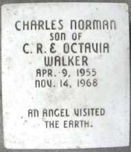 Charles Norman Walker