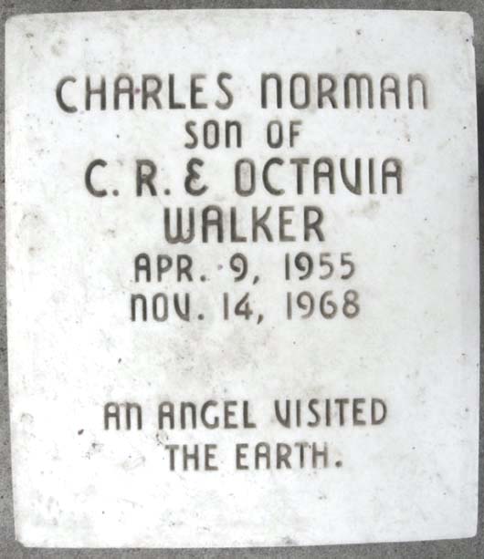 Charles Norman Walker