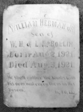 William Herman Bollin