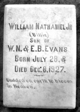 William Nathaniel Evans