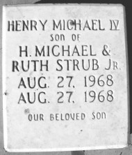 Henry Michael Strub
