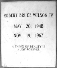 Robert Bruce Wilson
