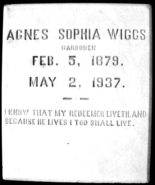 Agnes Sophia Wiggs