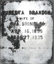 Lusetta  Brindle