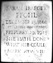 Sarah  Pfohl