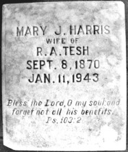 Mary Jane Tesh