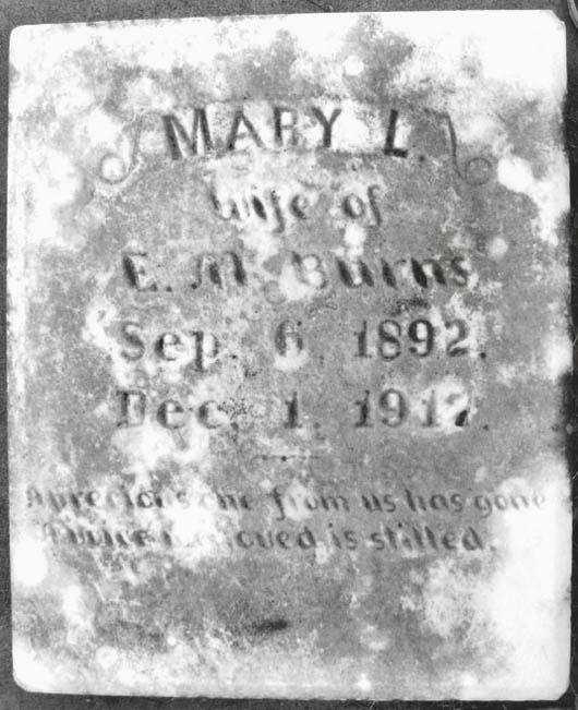 Mary L. Burns