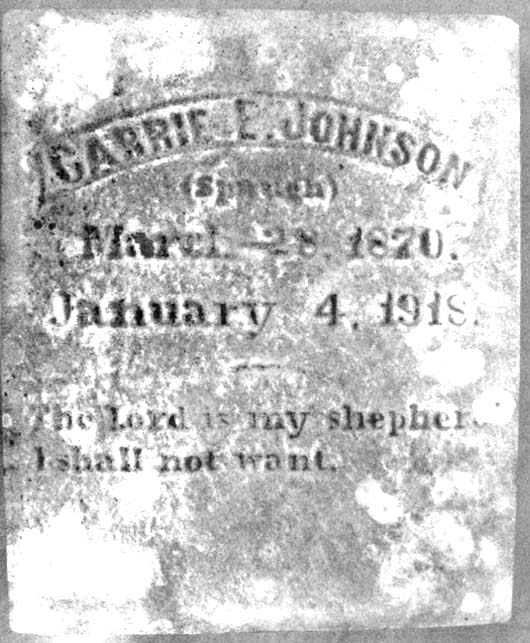Carrie E. Johnson