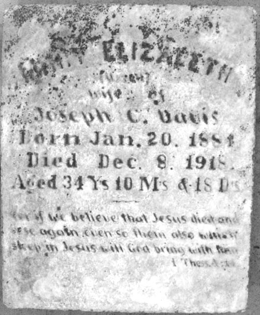 Mary Elizabeth Davis