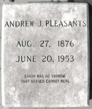 Andrew Jackson Pleasants