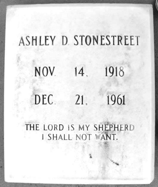 Ashley Dwiggins Stonestreet