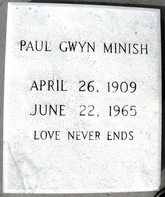 Paul Gwyn Minish