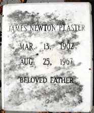 James Newton Plaster