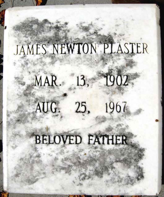 James Newton Plaster