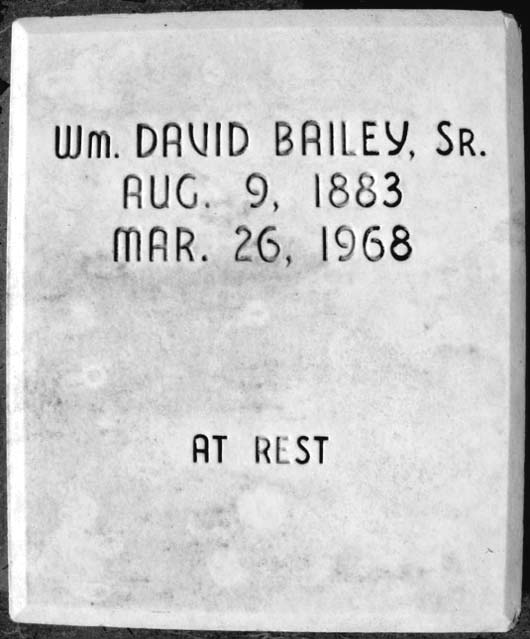 William David Bailey