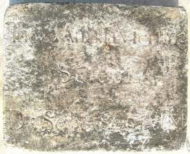Theodora Amelia Vierling