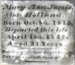 Mary Ann Jarvis