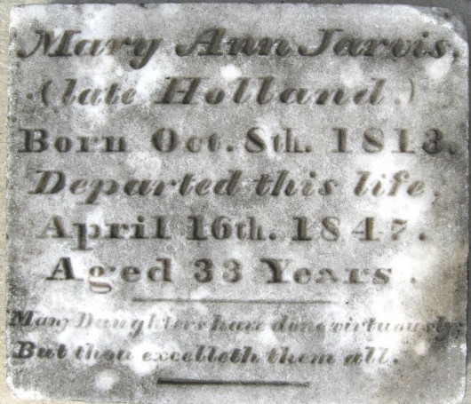 Mary Ann Jarvis