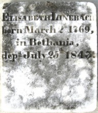 Elisabeth  Linebach