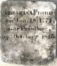 Catharina  Fischel