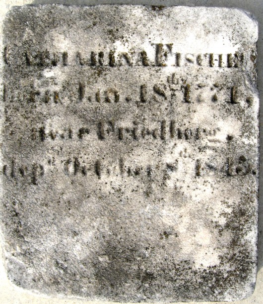 Catharina Fischel