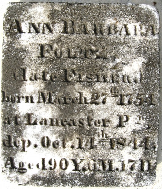 Ann Barbara Foltz