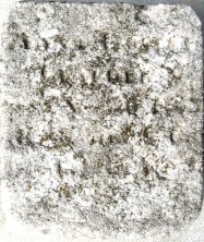 Anna Rosina Clauder