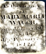 Mary Maria Waugh