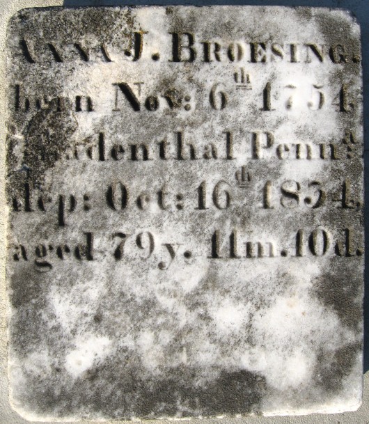 Anna Johanna Broesing