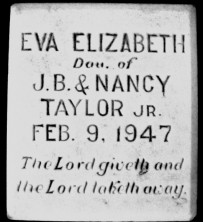Eva Elizabeth Taylor