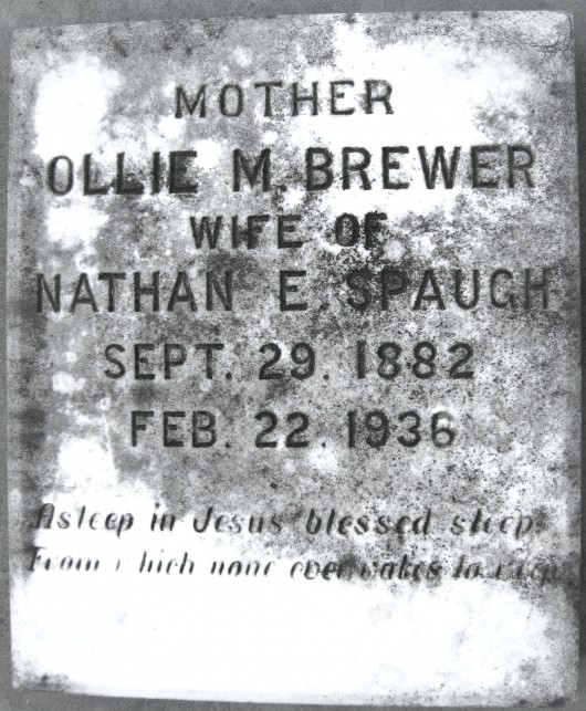 Ollie M. Spaugh