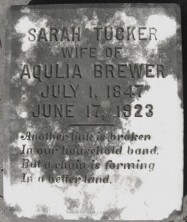 Sarah  Brewer
