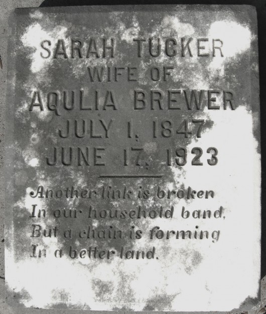 Sarah Brewer