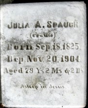 Julia Ann Maria Spaugh