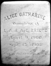 Alice Catharine Brietz