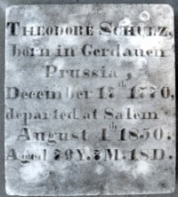Theodore  Schulz