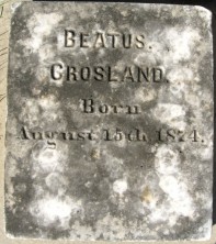 Infant Son  Crosland