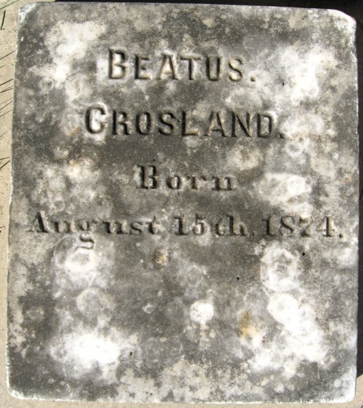 Infant Son Crosland