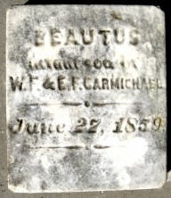 Infant Son  Carmichael