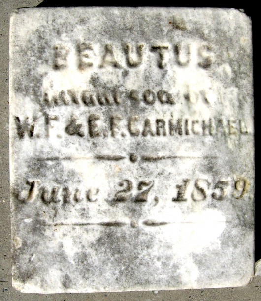 Infant Son Carmichael