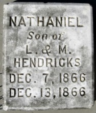 Nathaniel  Hendricks