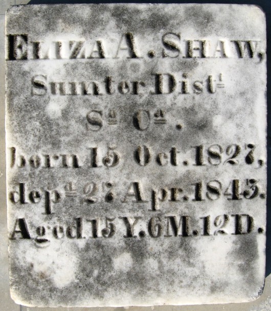 Eliza Agnes Shaw