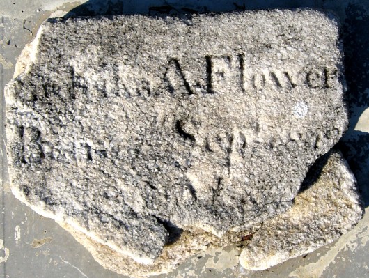 Zuleika Albertina Flower