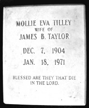 Mollie Eva Taylor