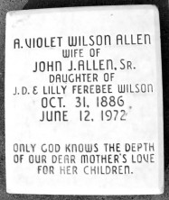Annie Violet Allen