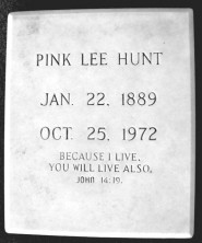 Pink Lee Hunt