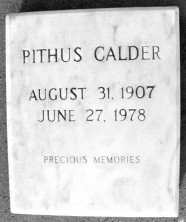Pithus  Calder